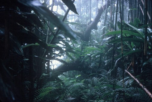 Ascension Island