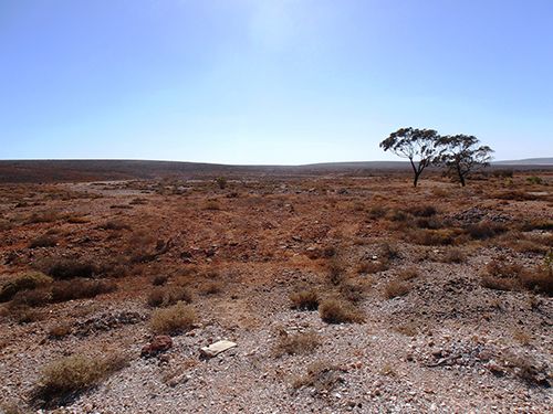 Island Lagoon 2014