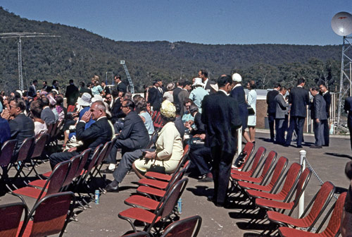 The Honeysuckle opening