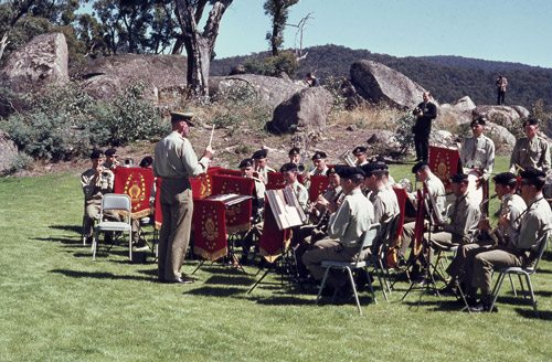 The Honeysuckle opening